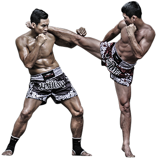 Arts martiaux mixtes, MMA