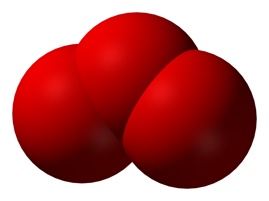 Molecolare