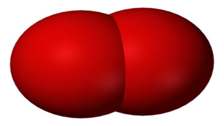 Molecolare