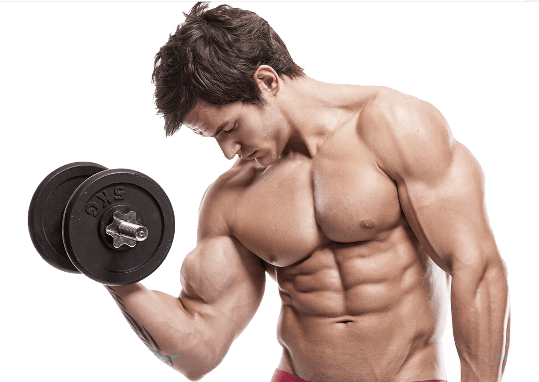 근육