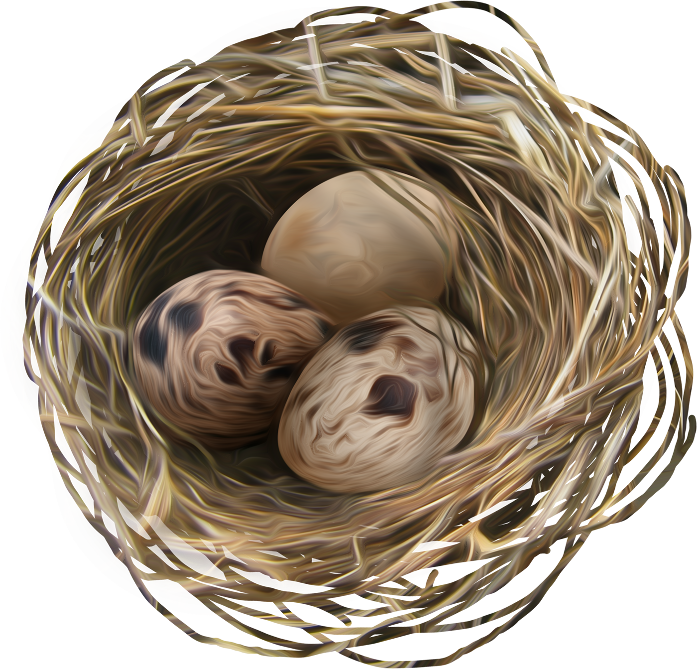 Le nid d'oiseau