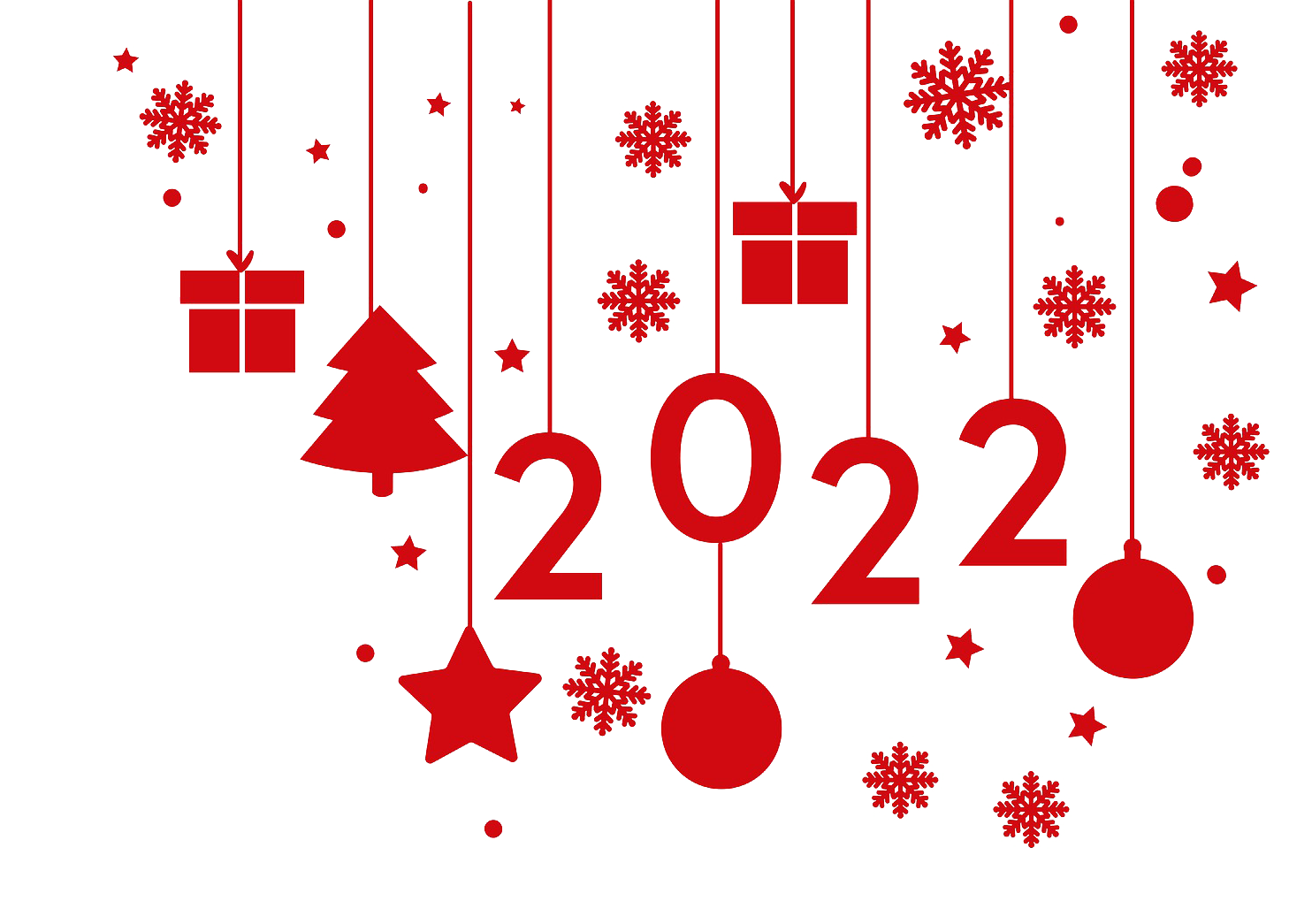 Dia de Ano Novo de 2022