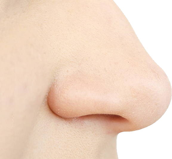 Nez humain