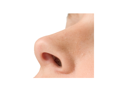인간의 코