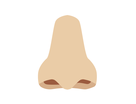Naso umano