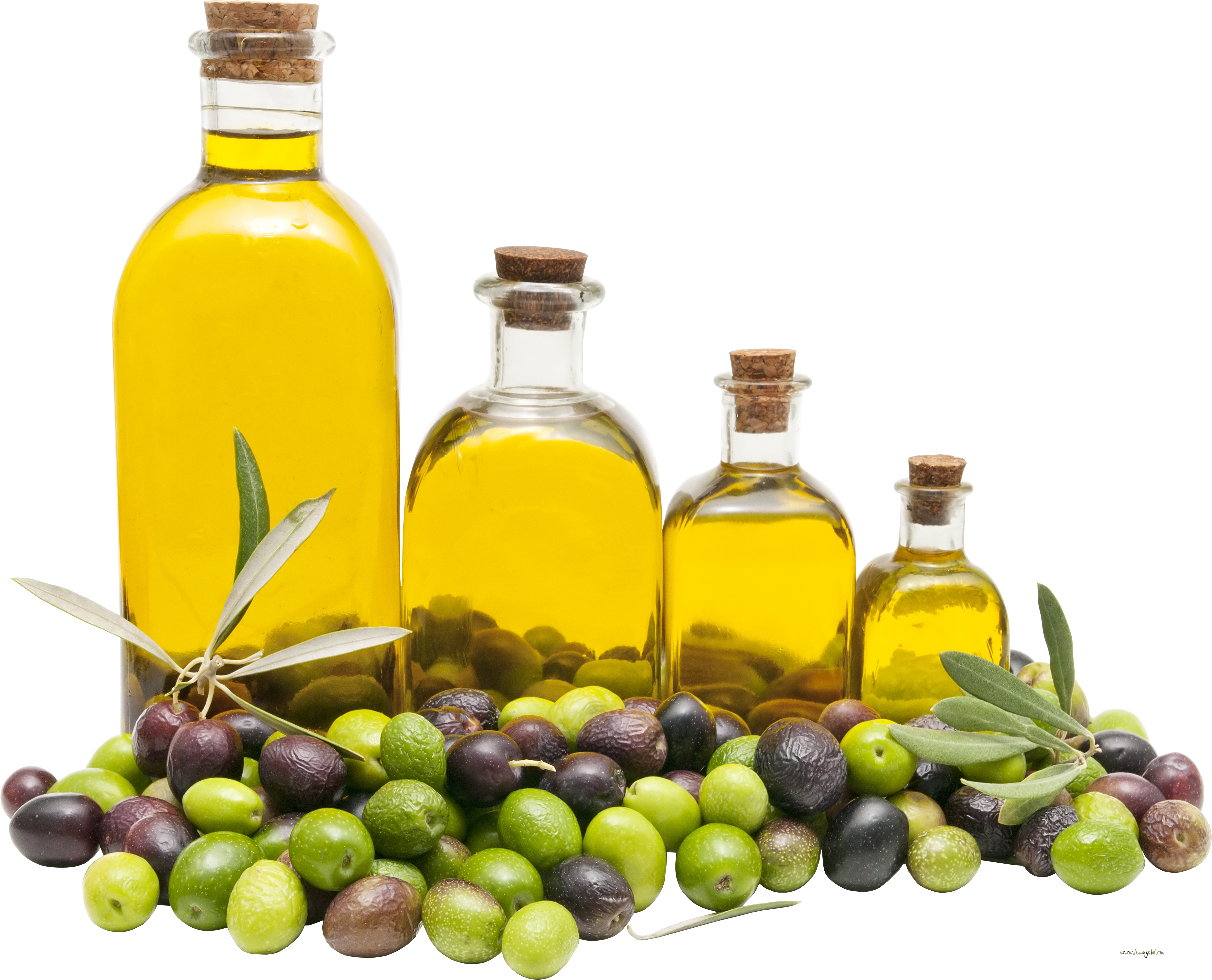 Oliwa z oliwek