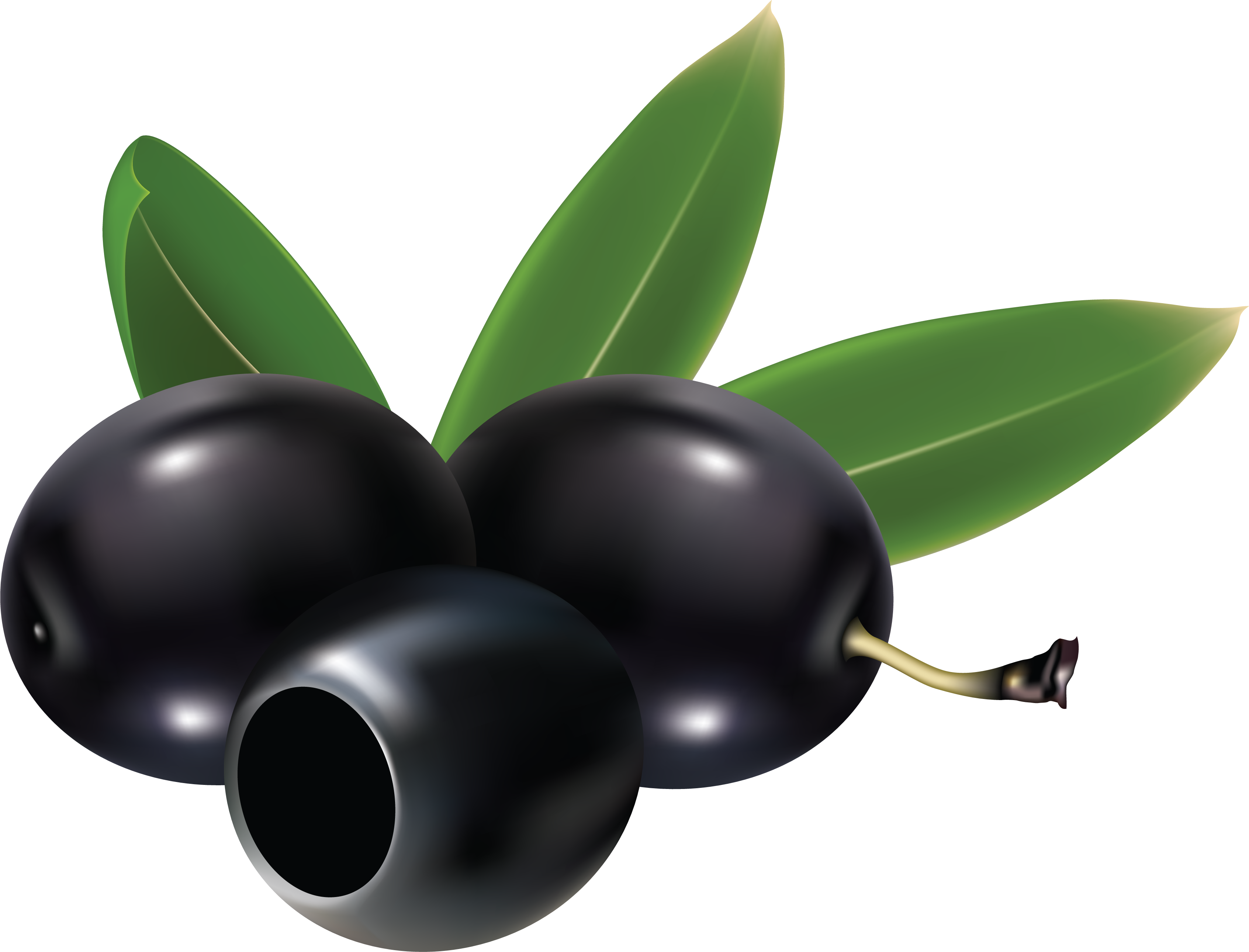 Olives noires