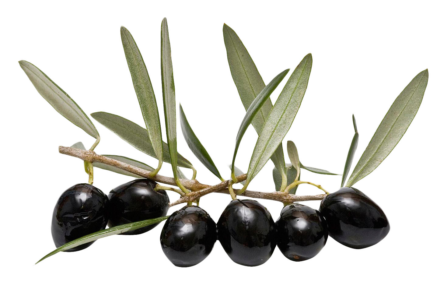 Czarne oliwki