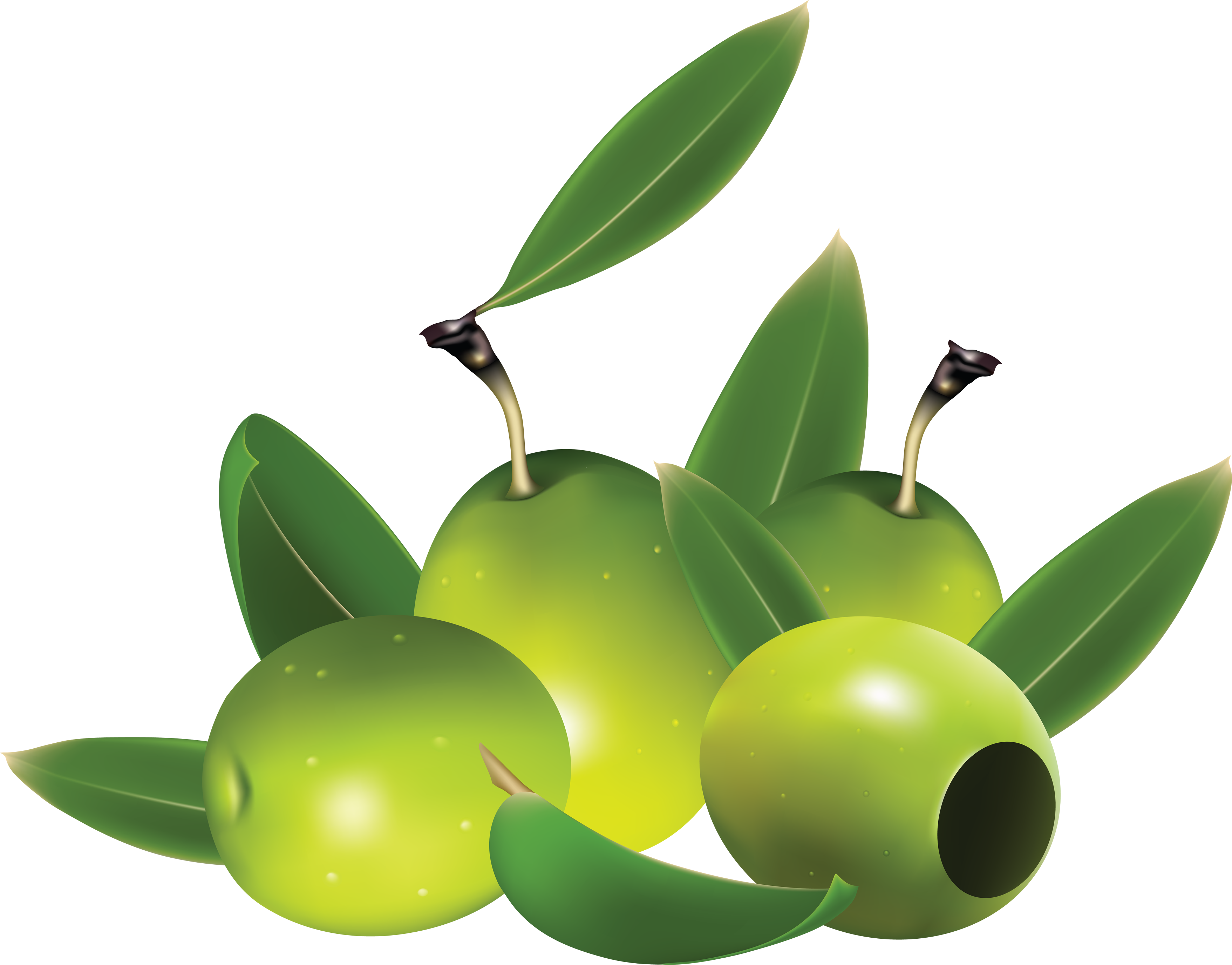 Grüne Oliven