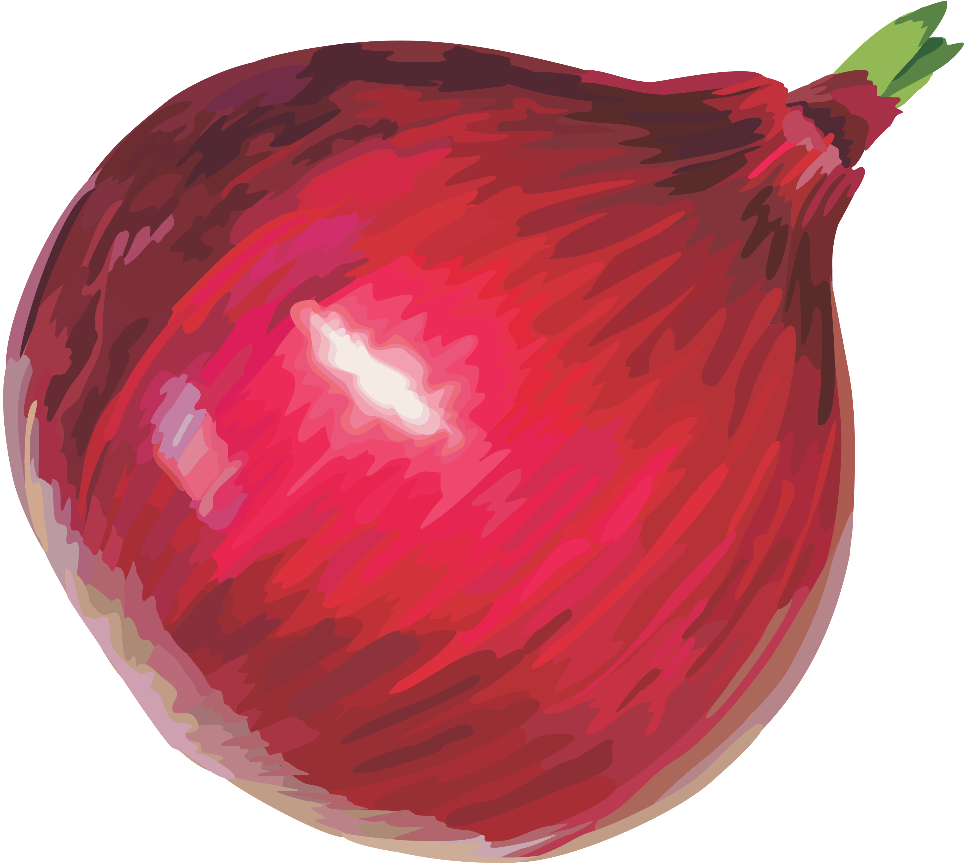 Cipolla rossa
