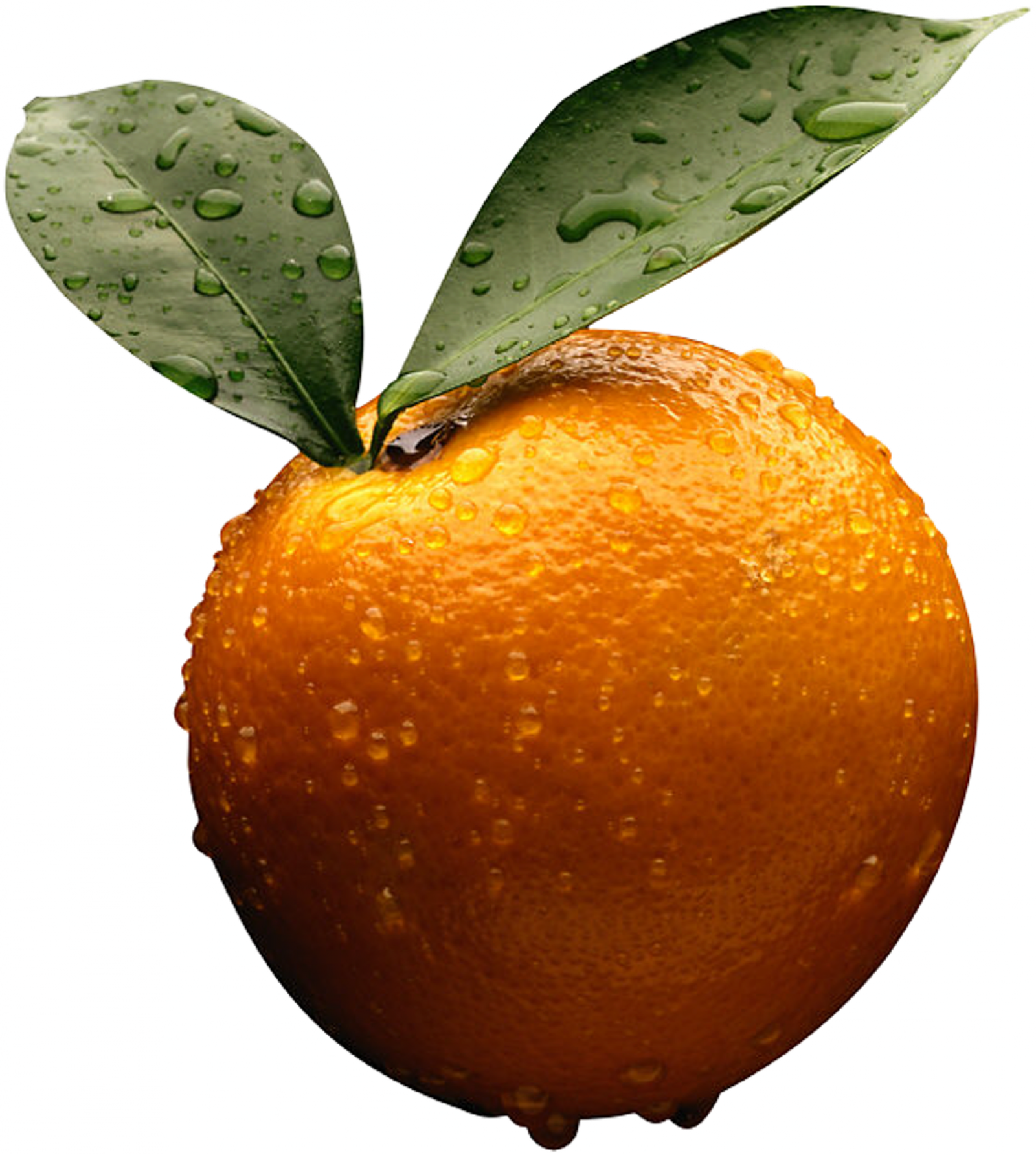 ส้มหยด