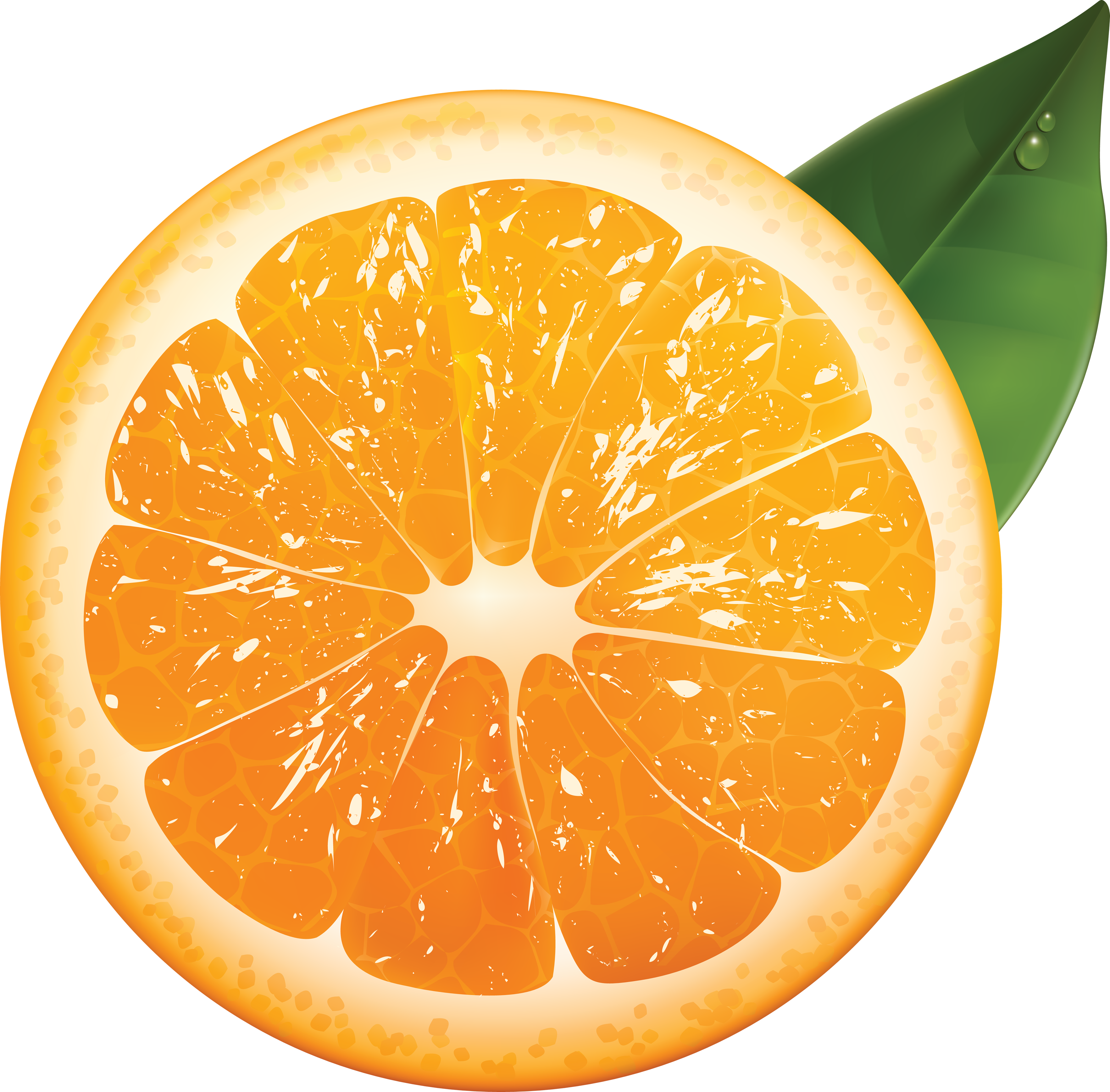 オレンジを切る