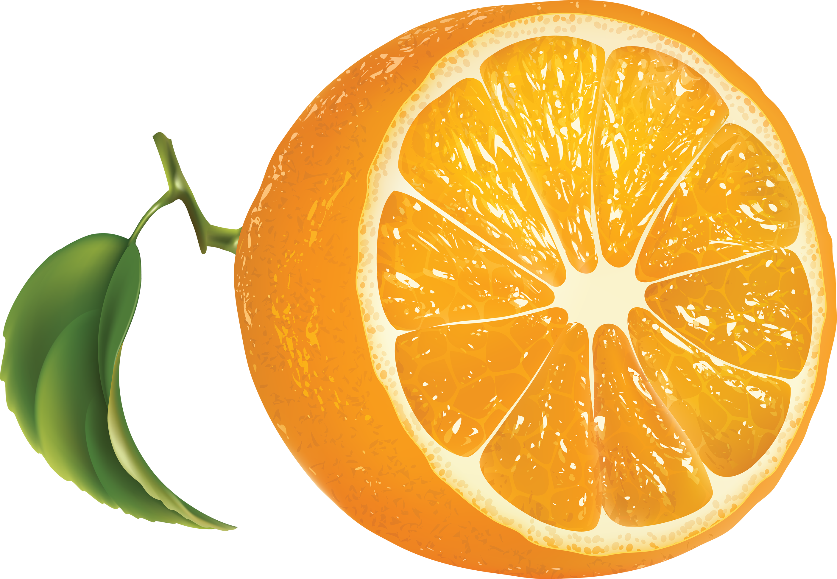 切开的成熟的橙色