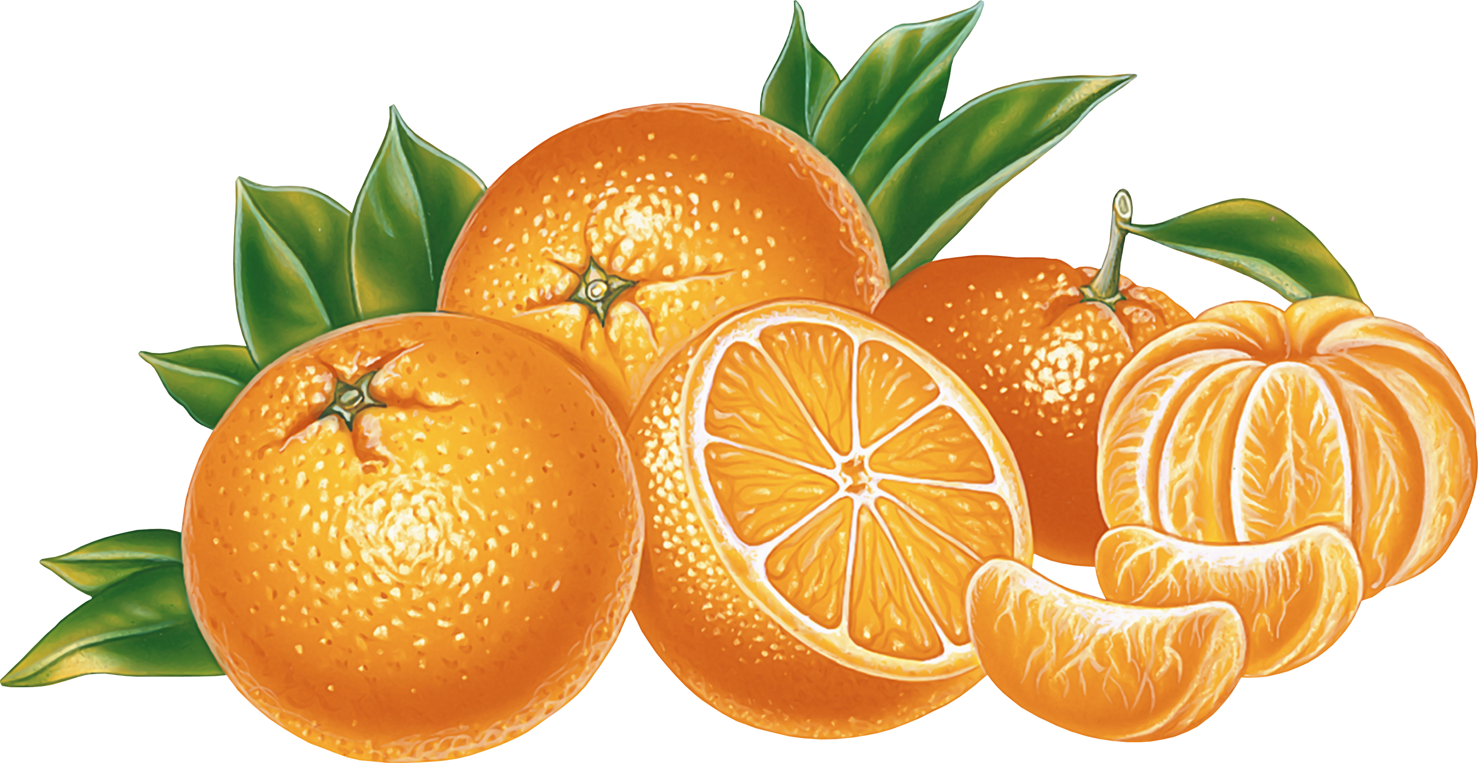 许多橙子