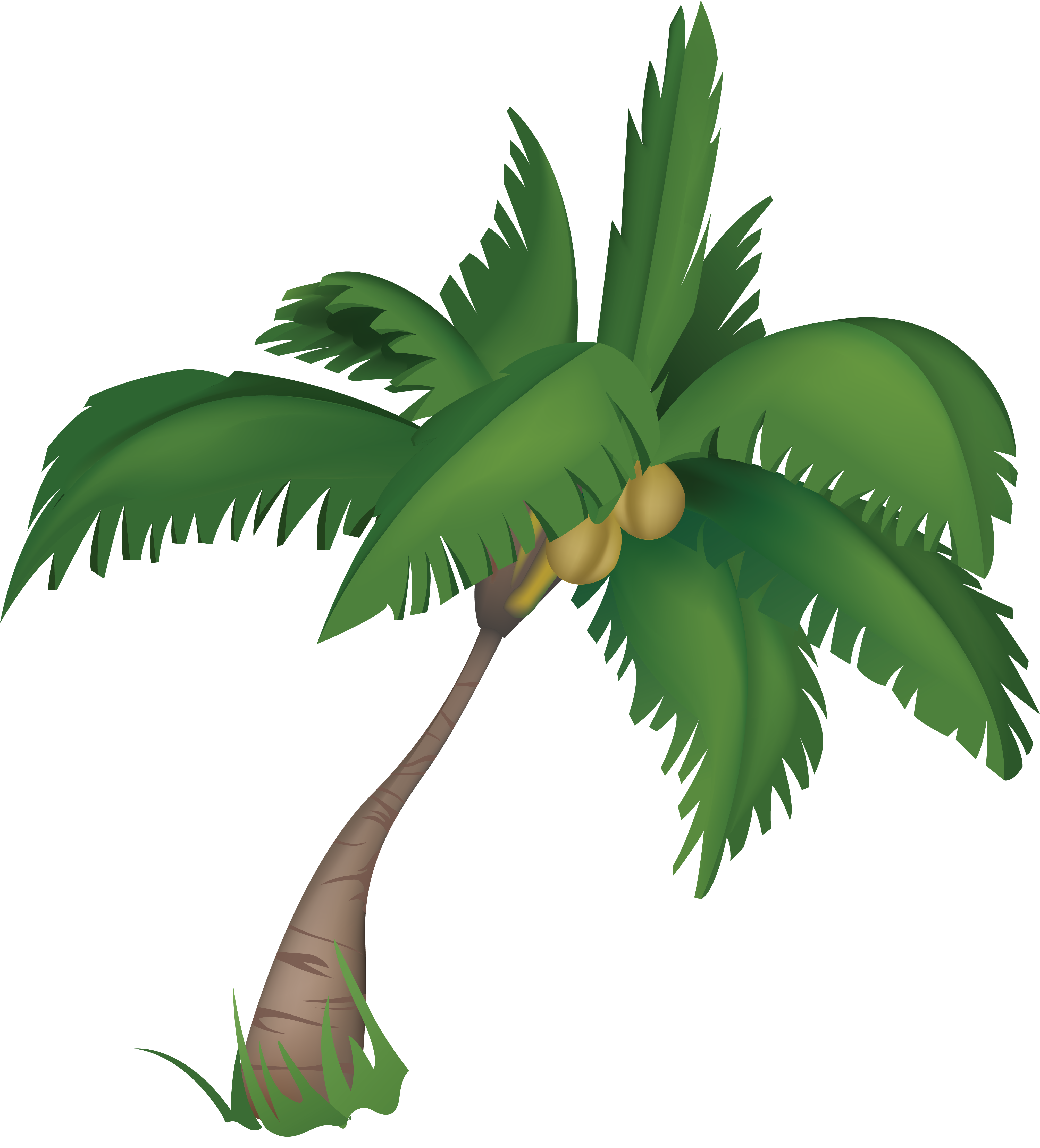 Drzewo palmowe