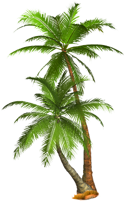 Tropische Palme