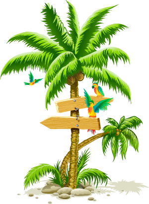 Tropikalna palma