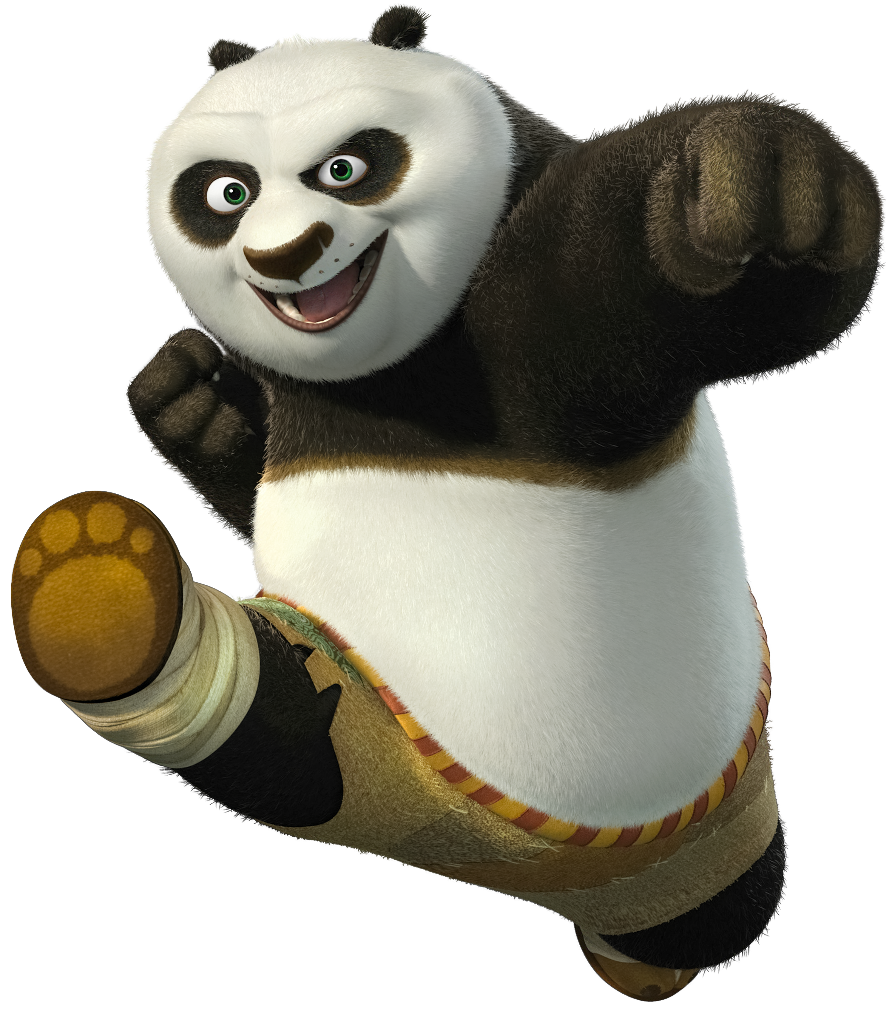 Panda kungfu
