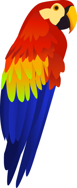 Perroquet de couleur