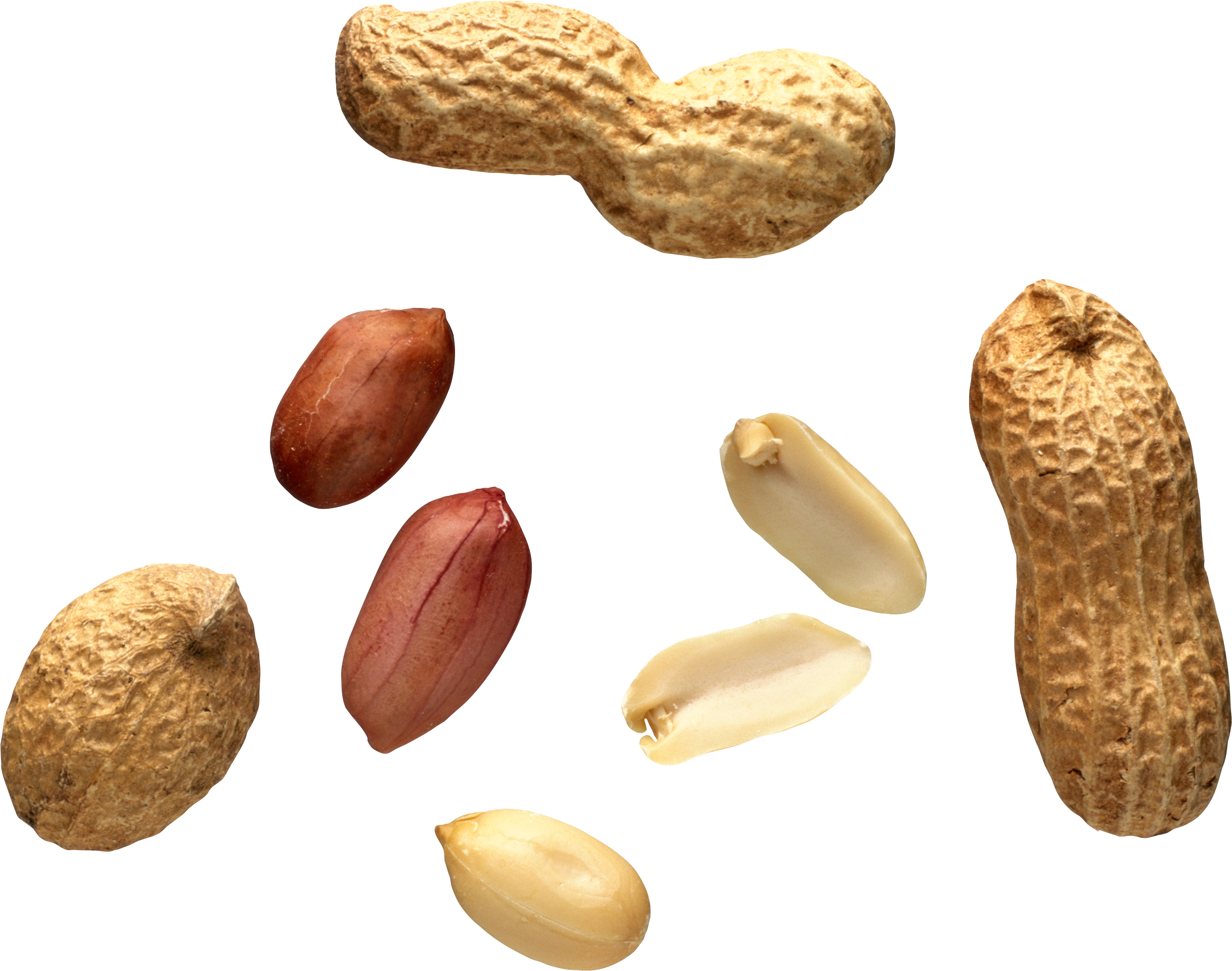 Kacang