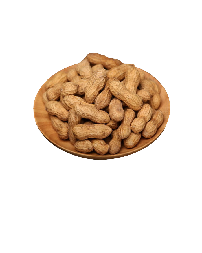 Erdnuss