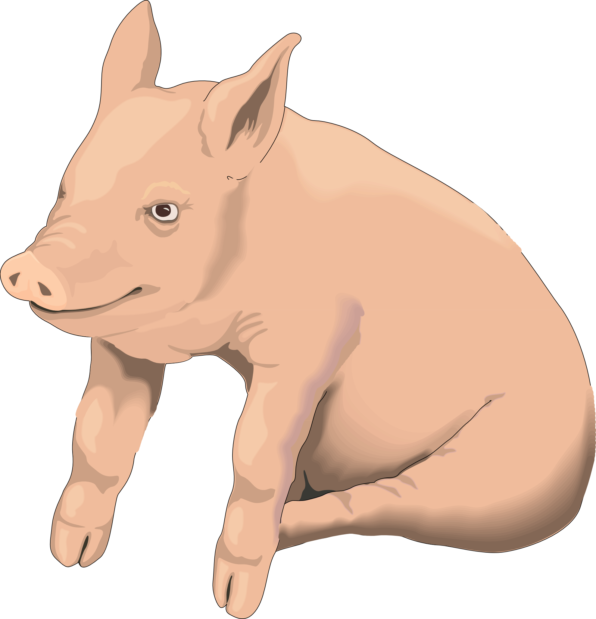 Cartoon Schwein