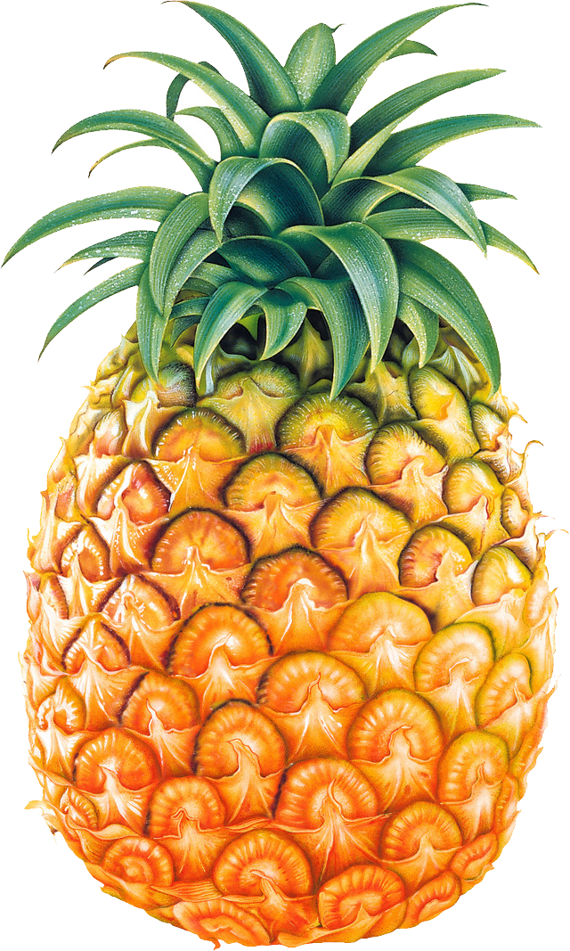 Ananasfrucht