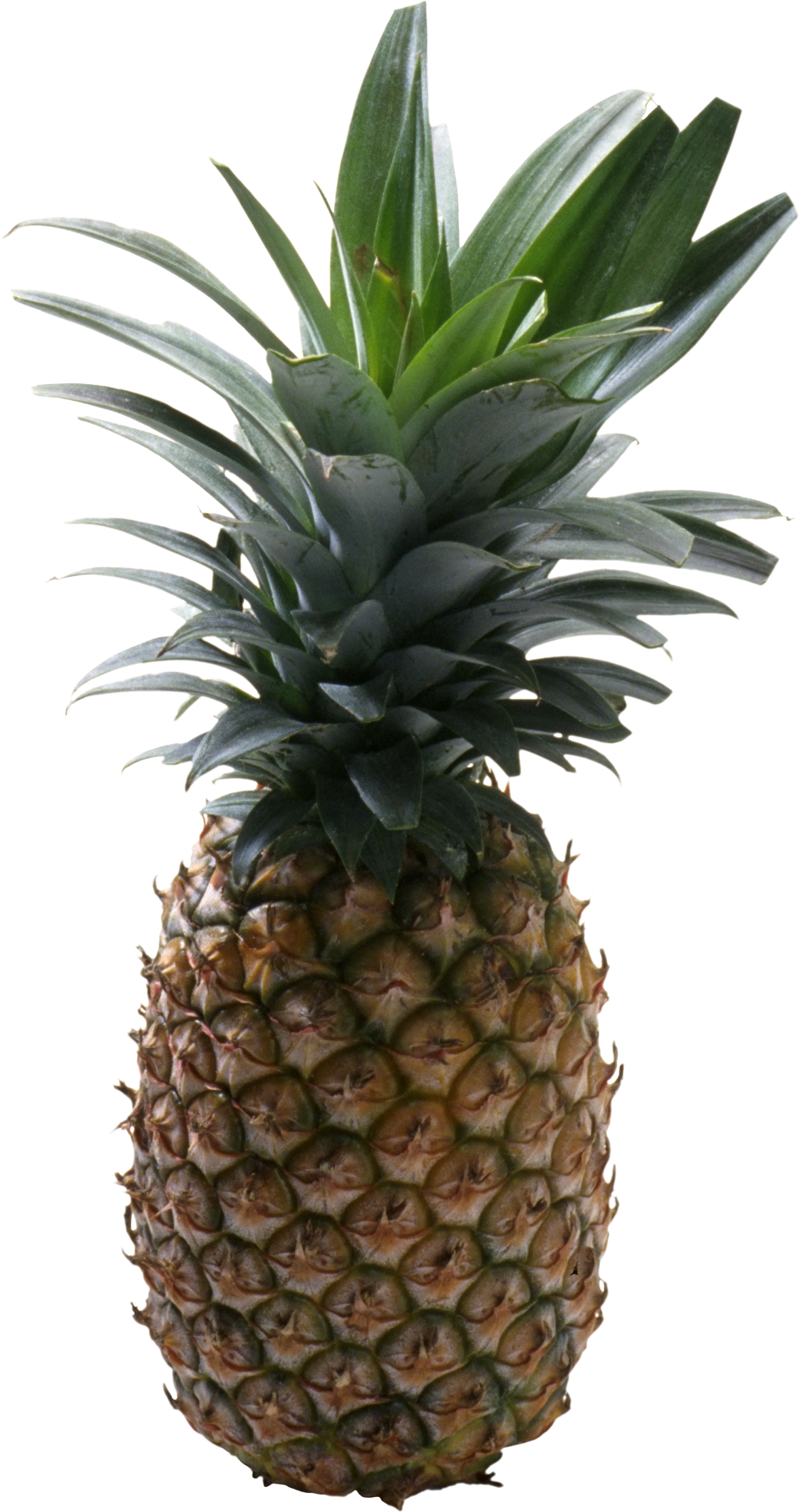 Owoc ananasa