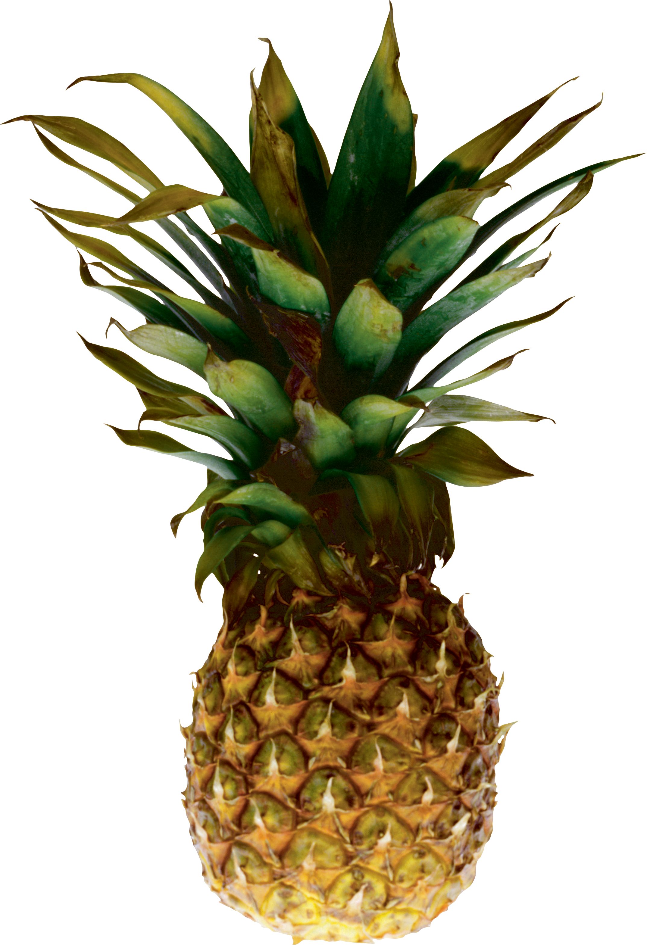 L'ananas