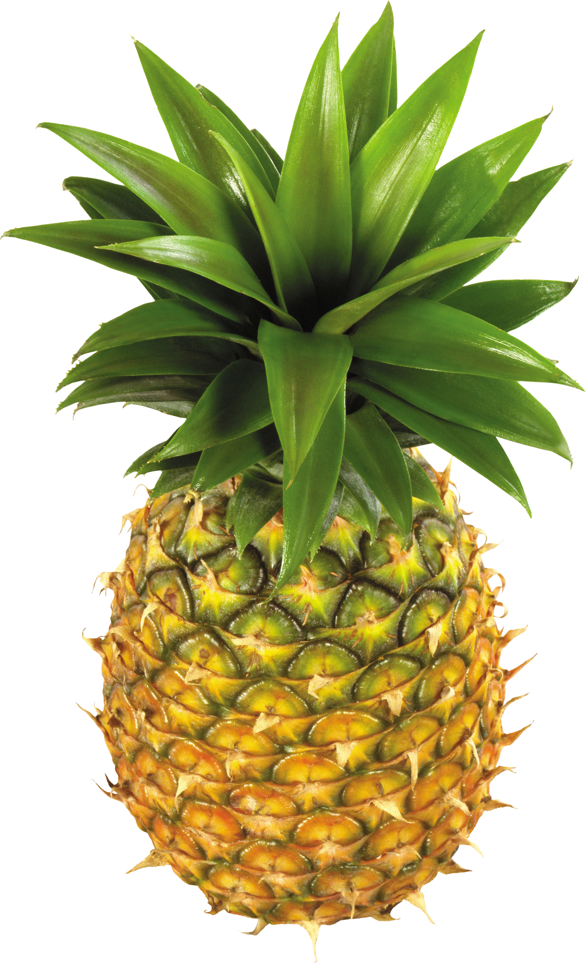 Owoc ananasa