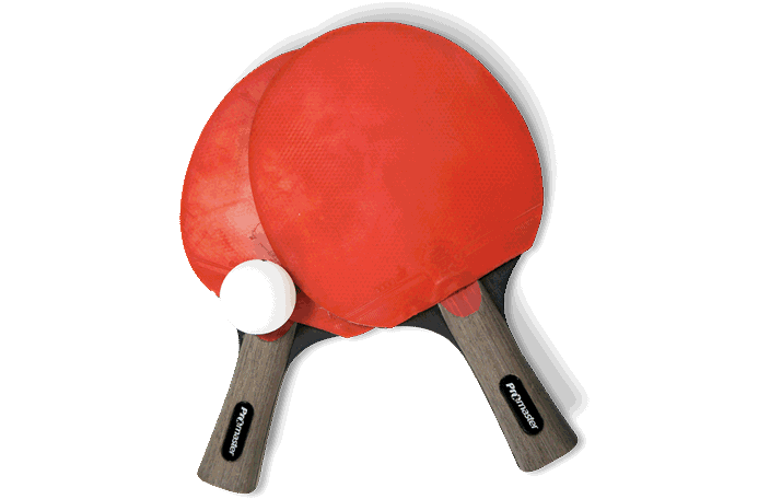 Ping pong paddle