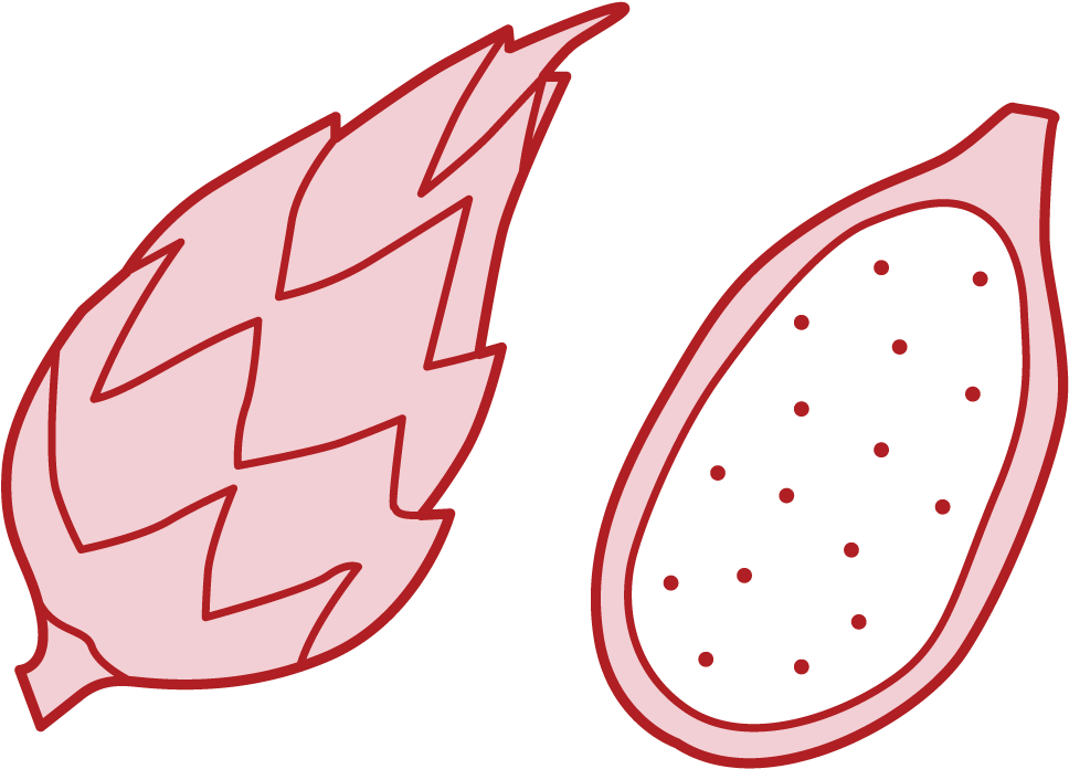 Illustration de fruits du dragon