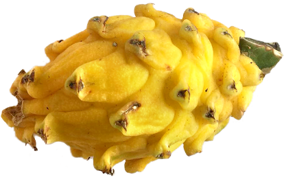 Pitaya jaune