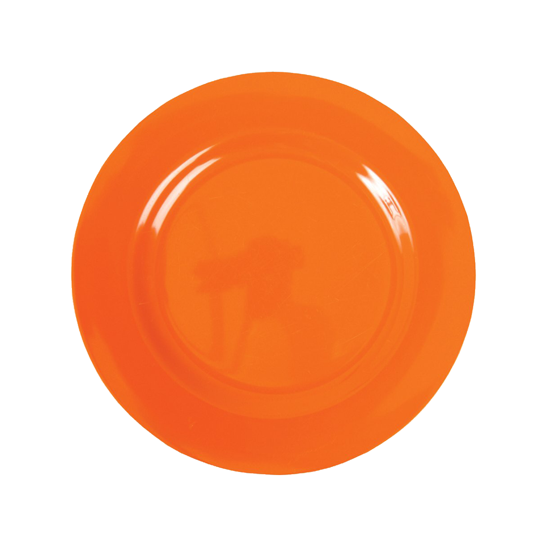 橙色盘子