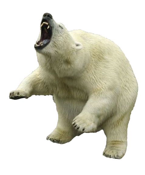 捂脸的北极熊