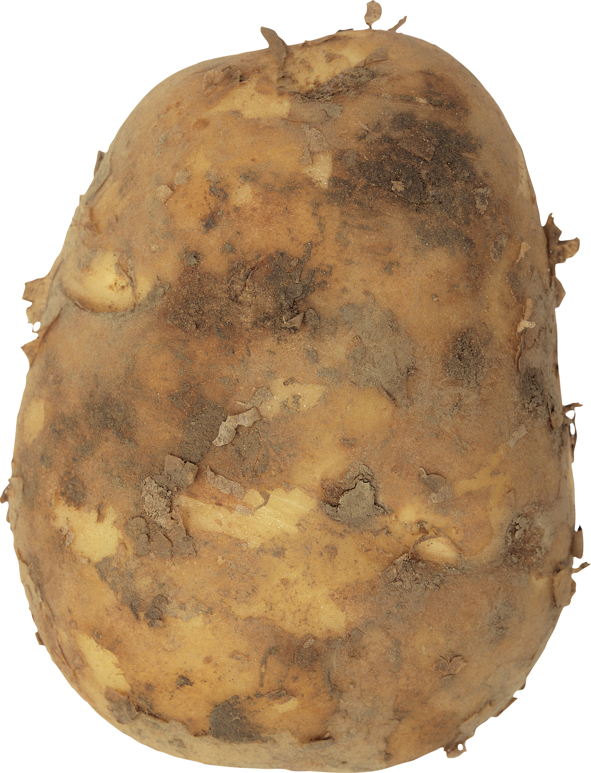 Grandi patate