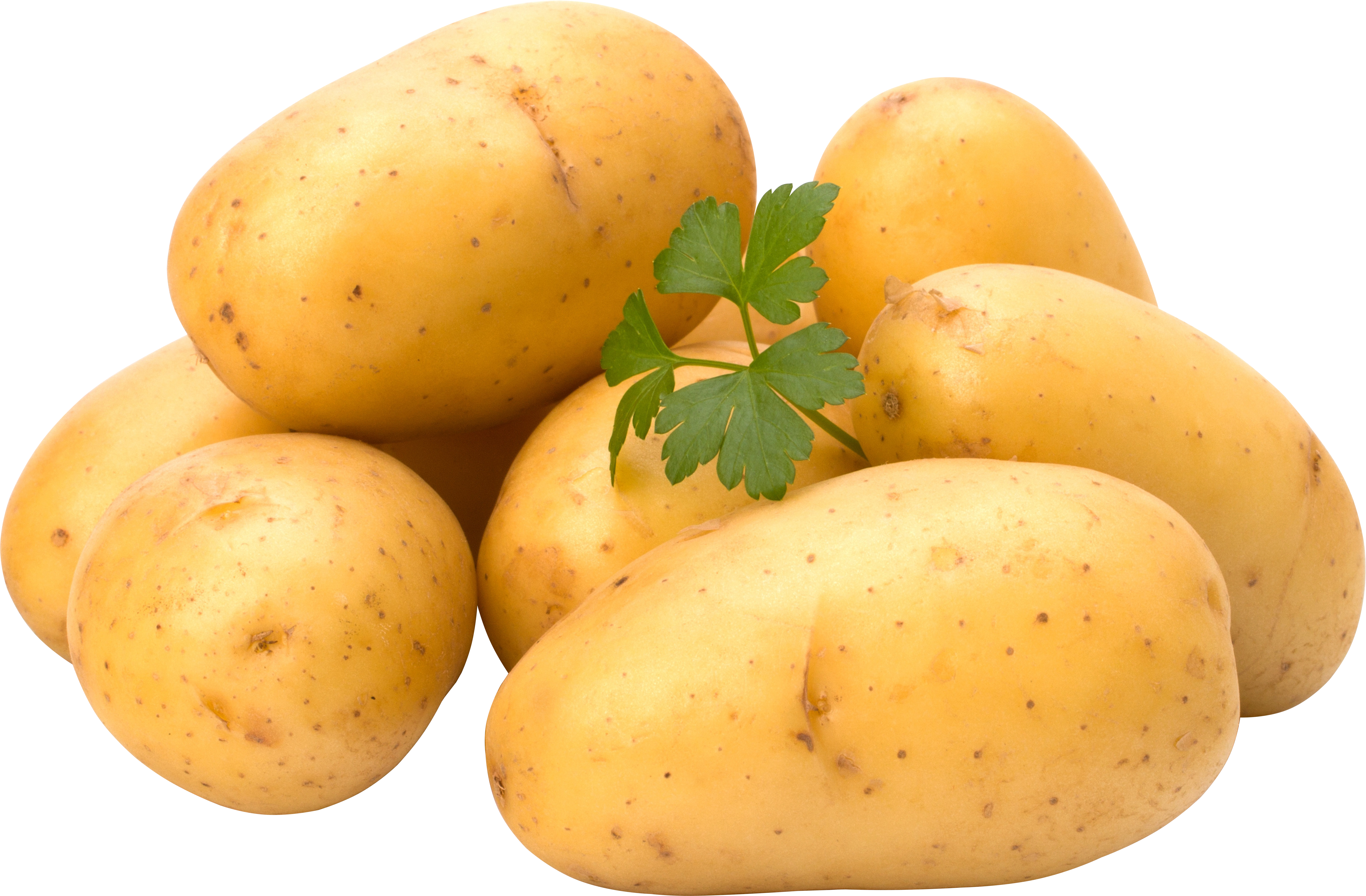 Quelques pommes de terre