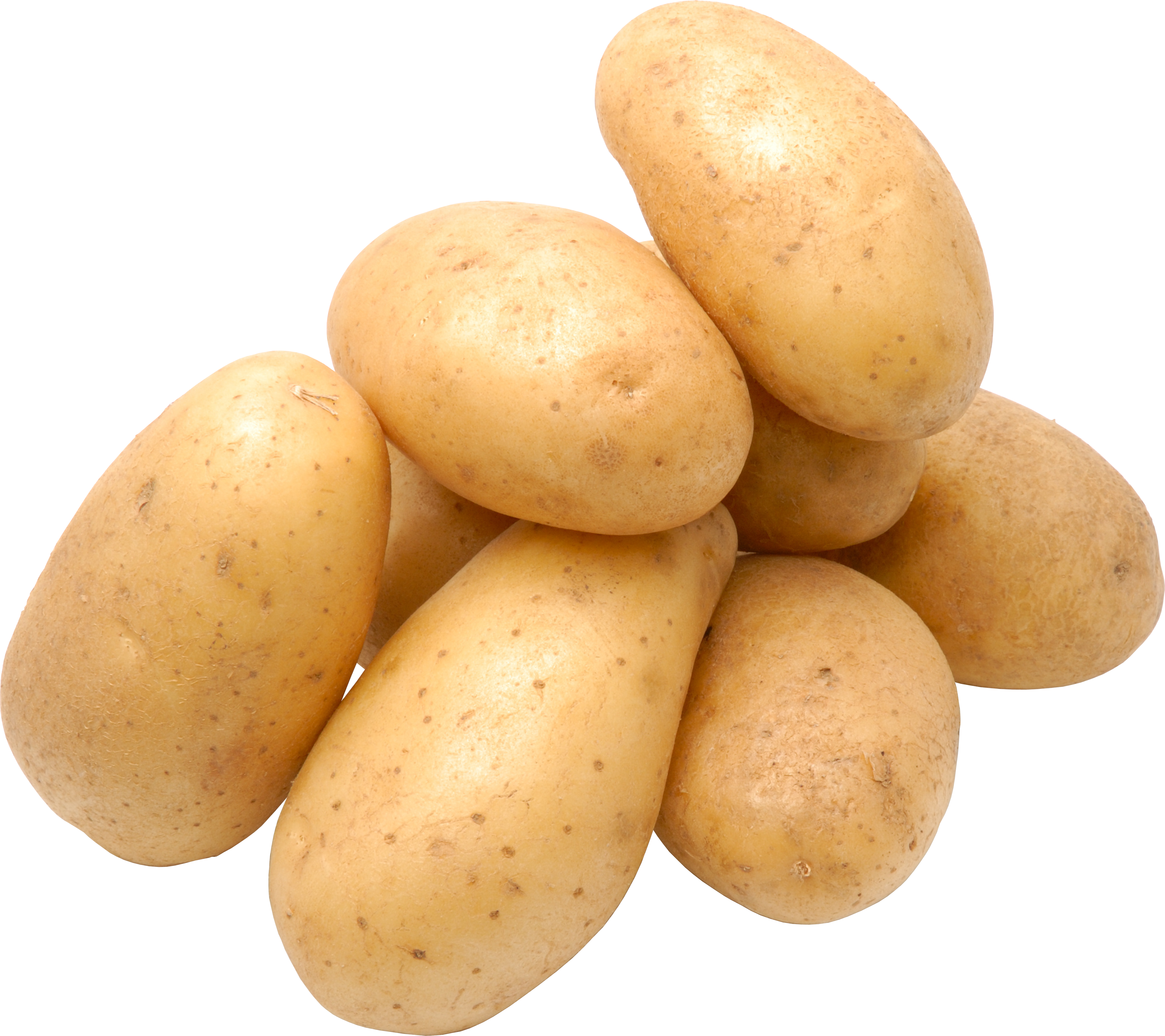 Pommes de terre fraîches