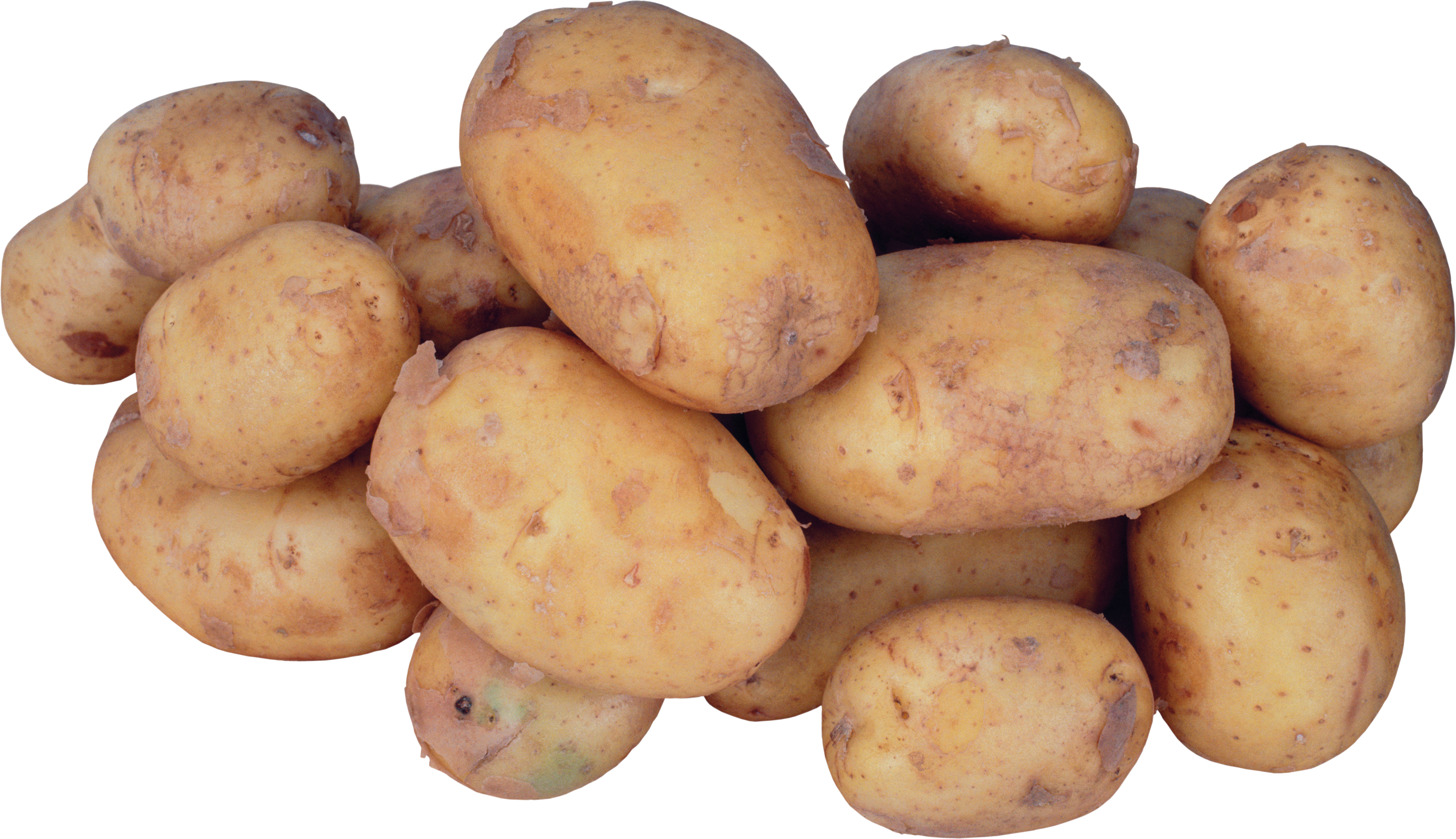 Wiele ziemniaków