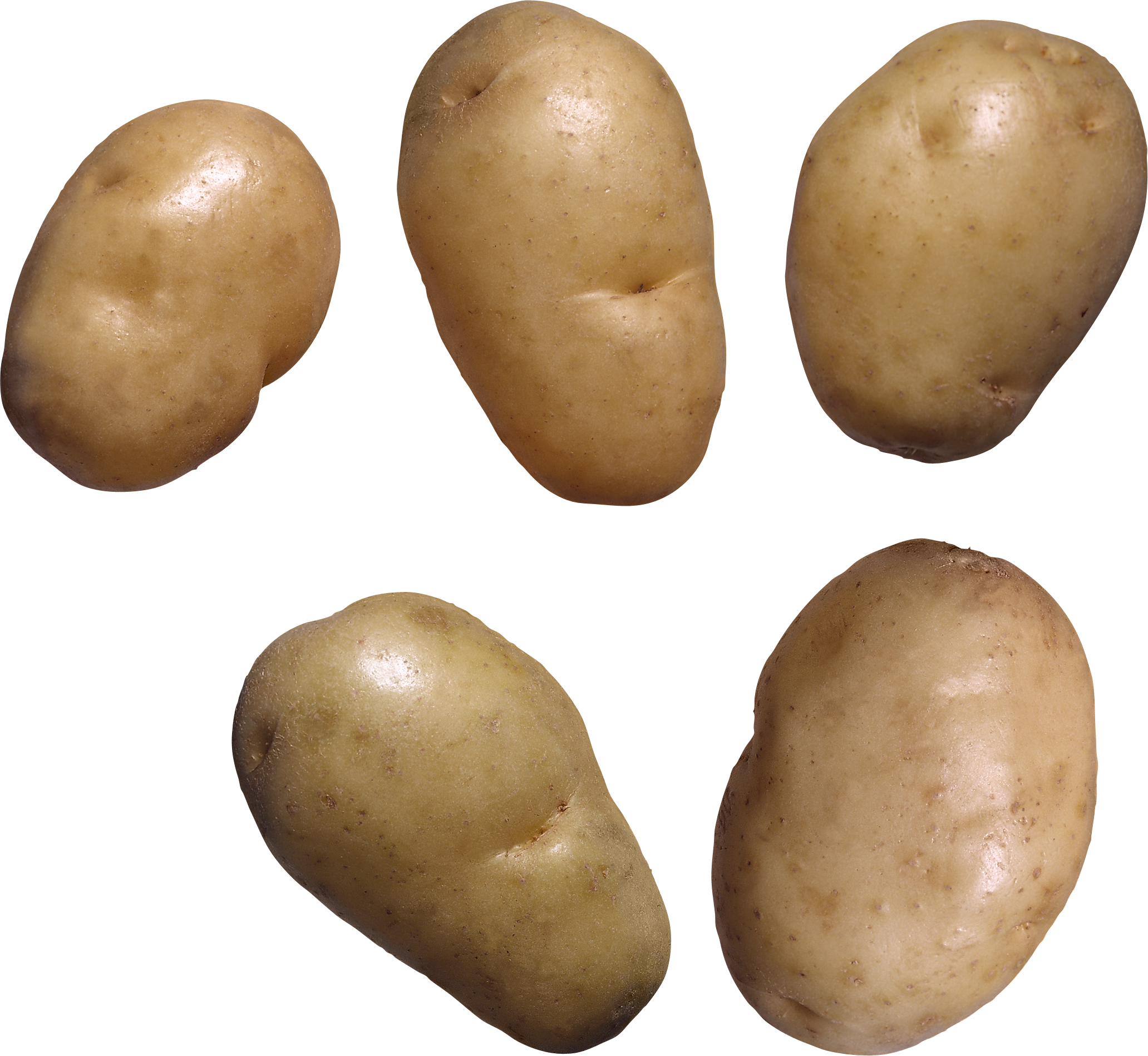 5 củ khoai tây