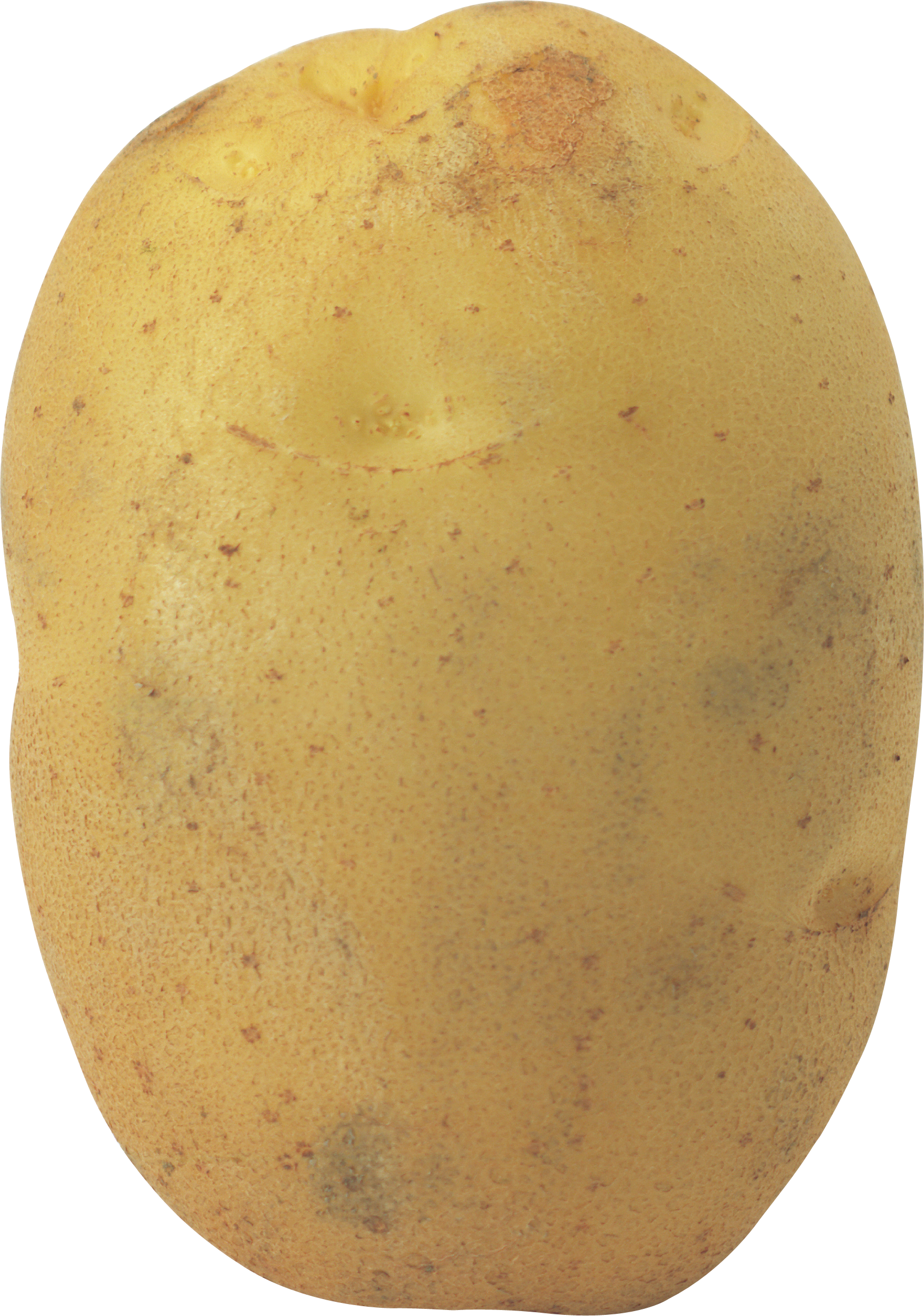 Büyük patatesler