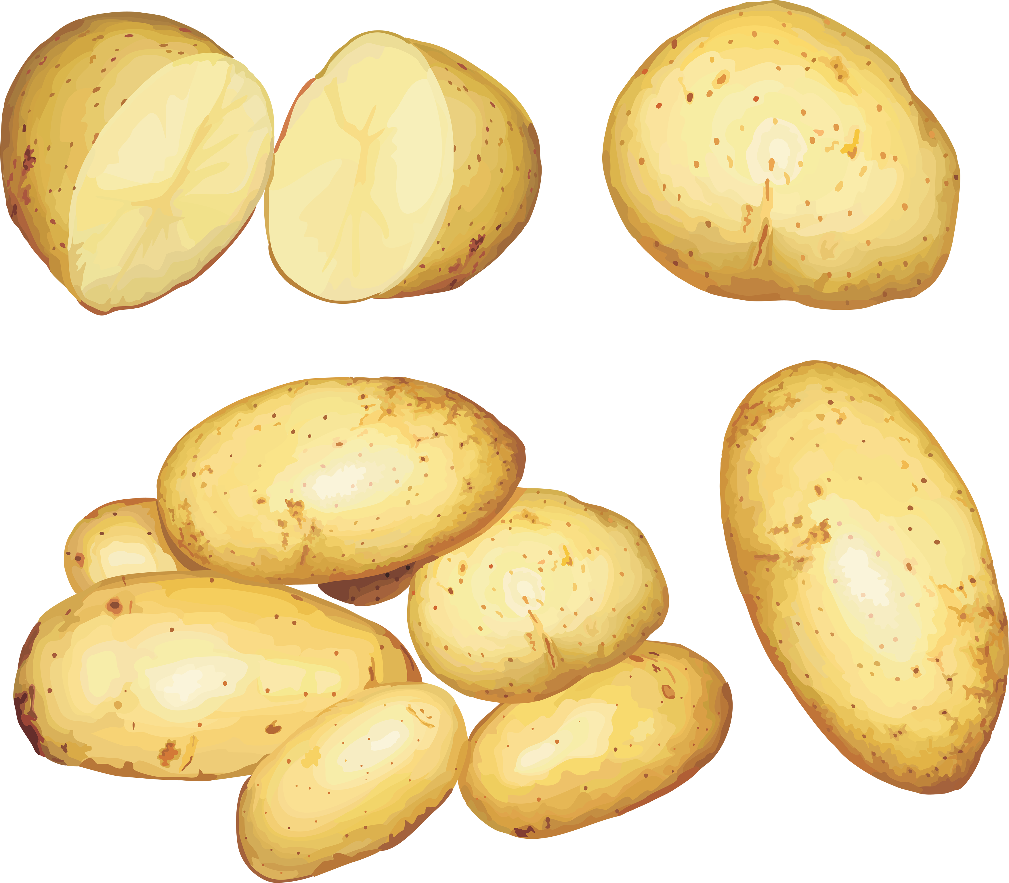 Kartoffeln, Kartoffeln