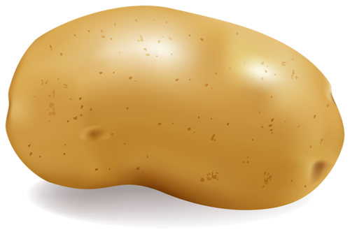 Patata