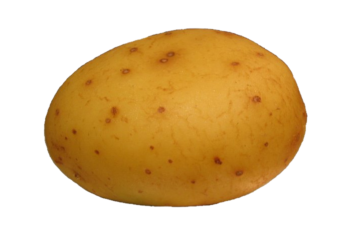 Patates, patates
