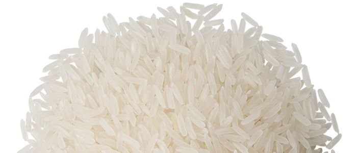 Ryż