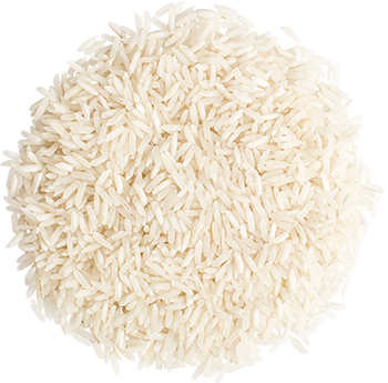 Ryż