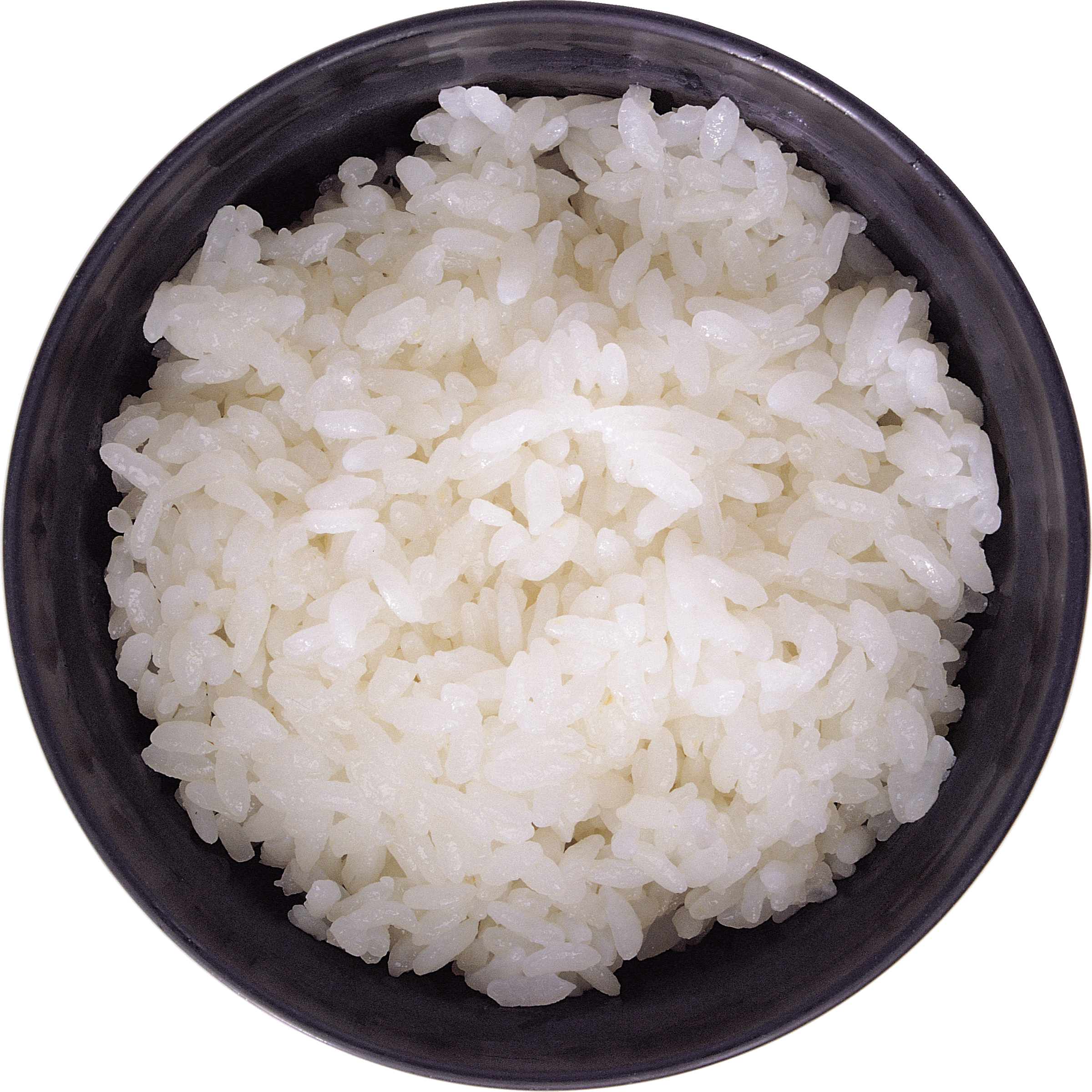 일반 쌀