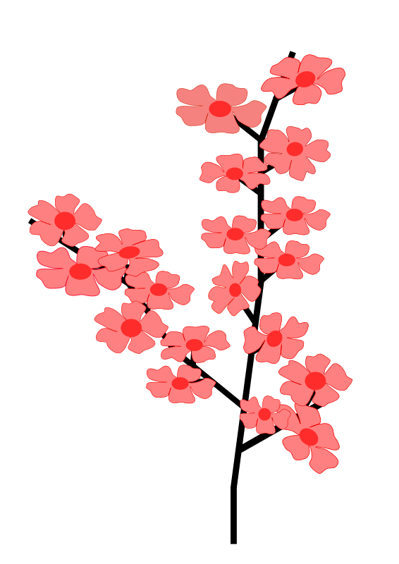 Kiraz çiçekleri