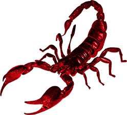 Escorpião vermelho