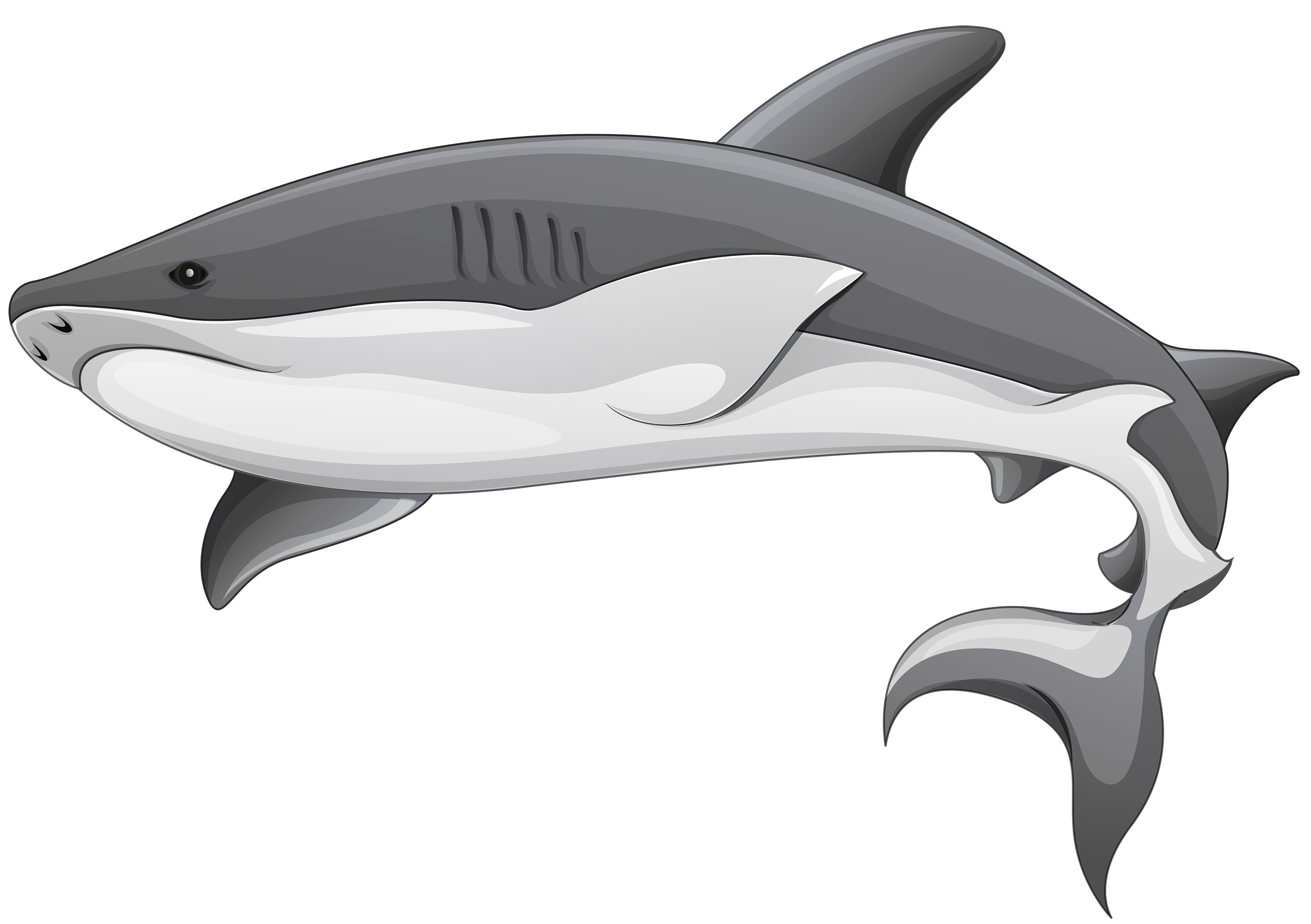 Requin de dessin animé